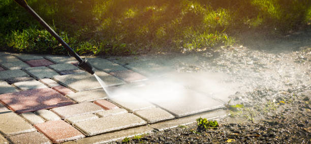 Best Roof Washing  in Ravensworth, VA
